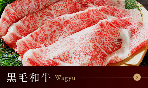 黒毛和牛 Wagyu